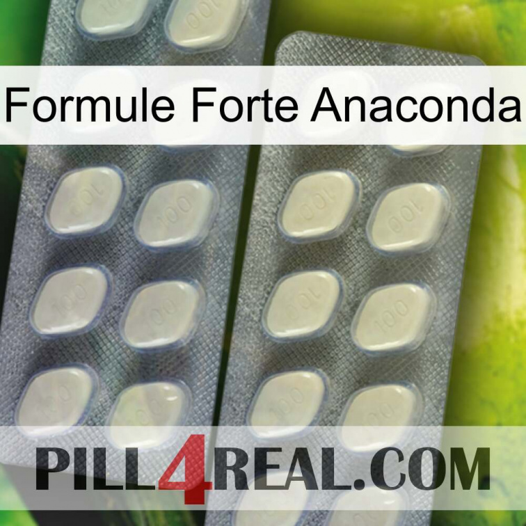 Anaconda Strong Formula 07